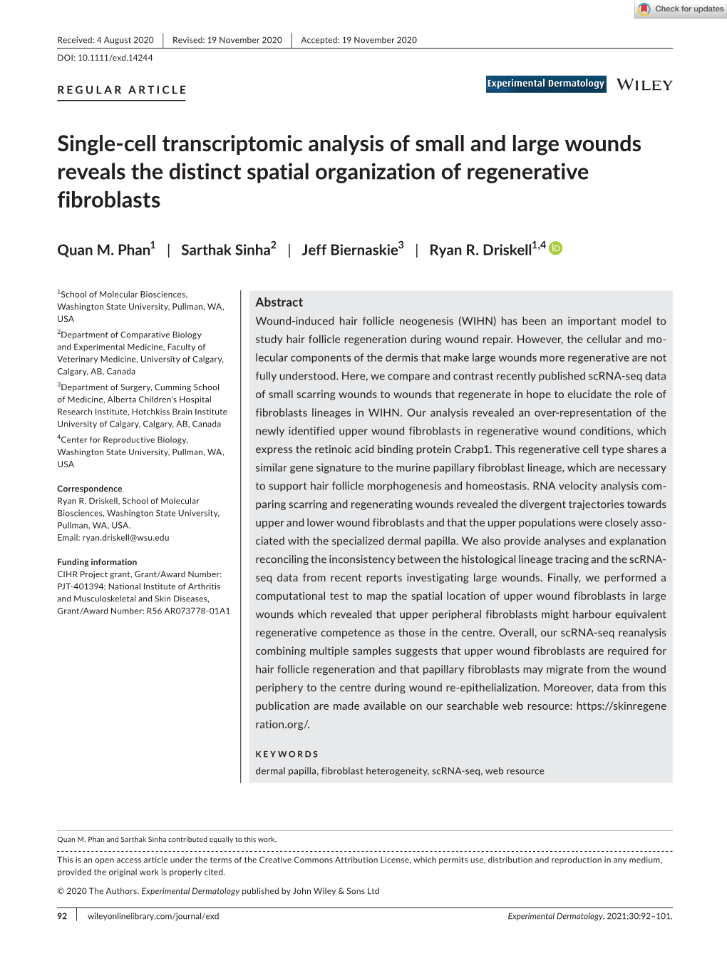 Single‐Cell Transcriptomic Analysis of Small and Large Wounds Reveals The