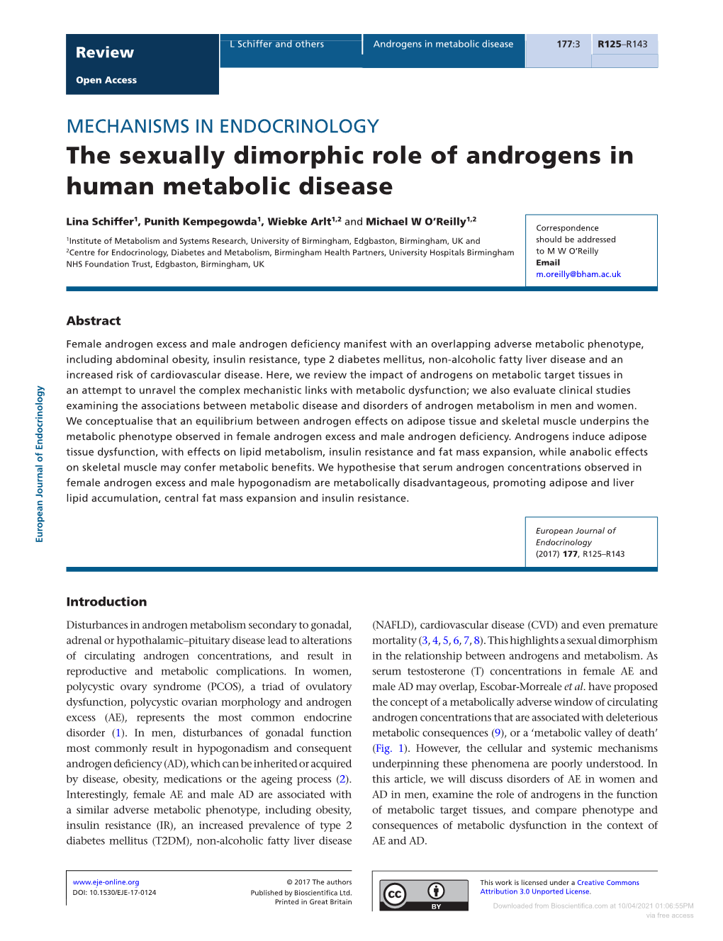 The Sexually Dimorphic Role of Androgens in Human Metabolic