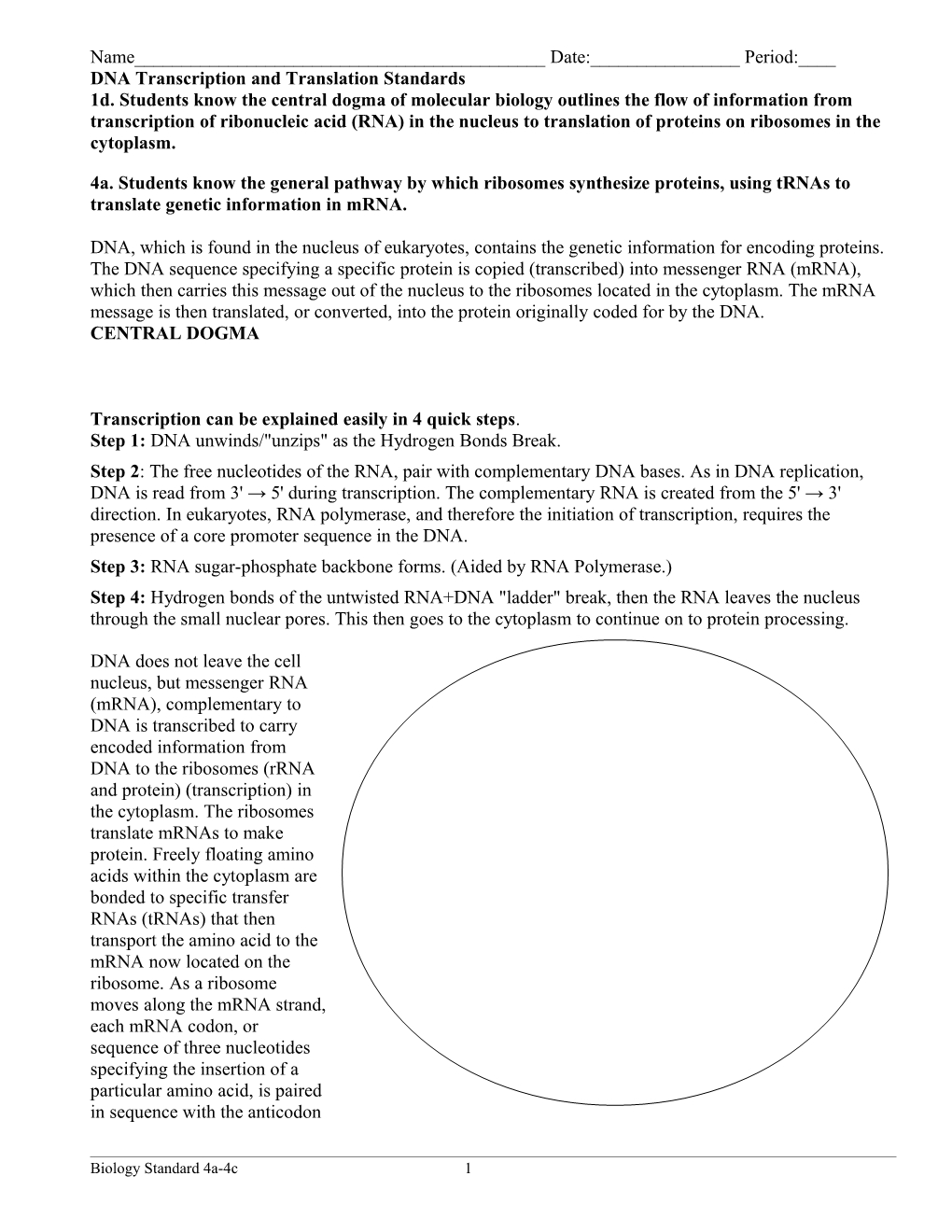 DNA Transcription and Translation Standards