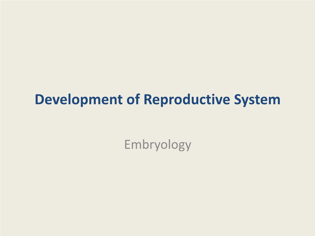 Development of Reproductive System