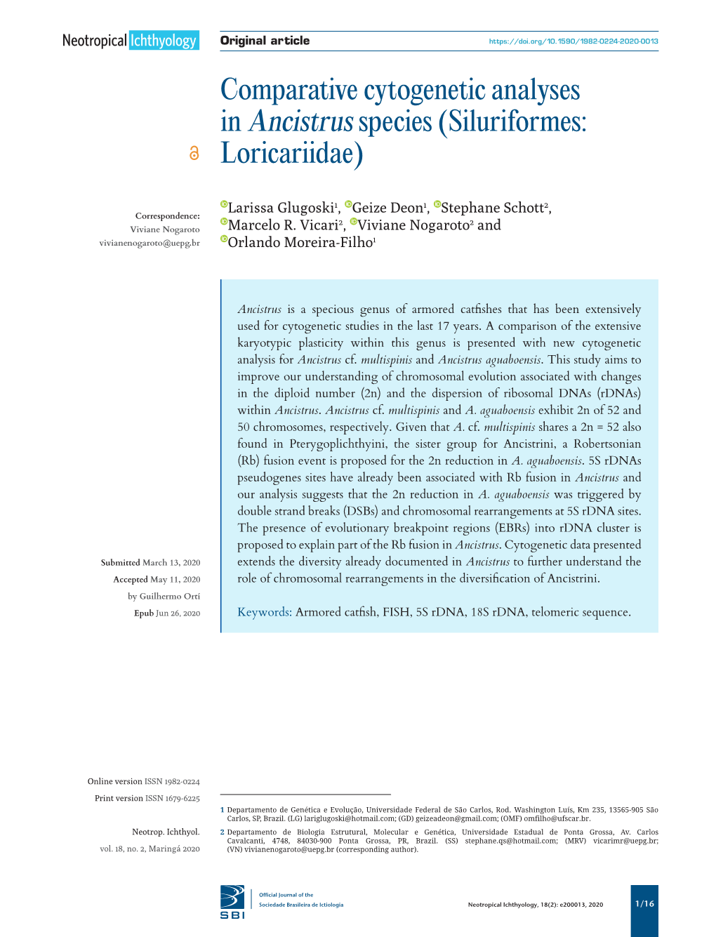 Comparative Cytogenetic Analyses in Ancistrus Species (Siluriformes: Loricariidae)