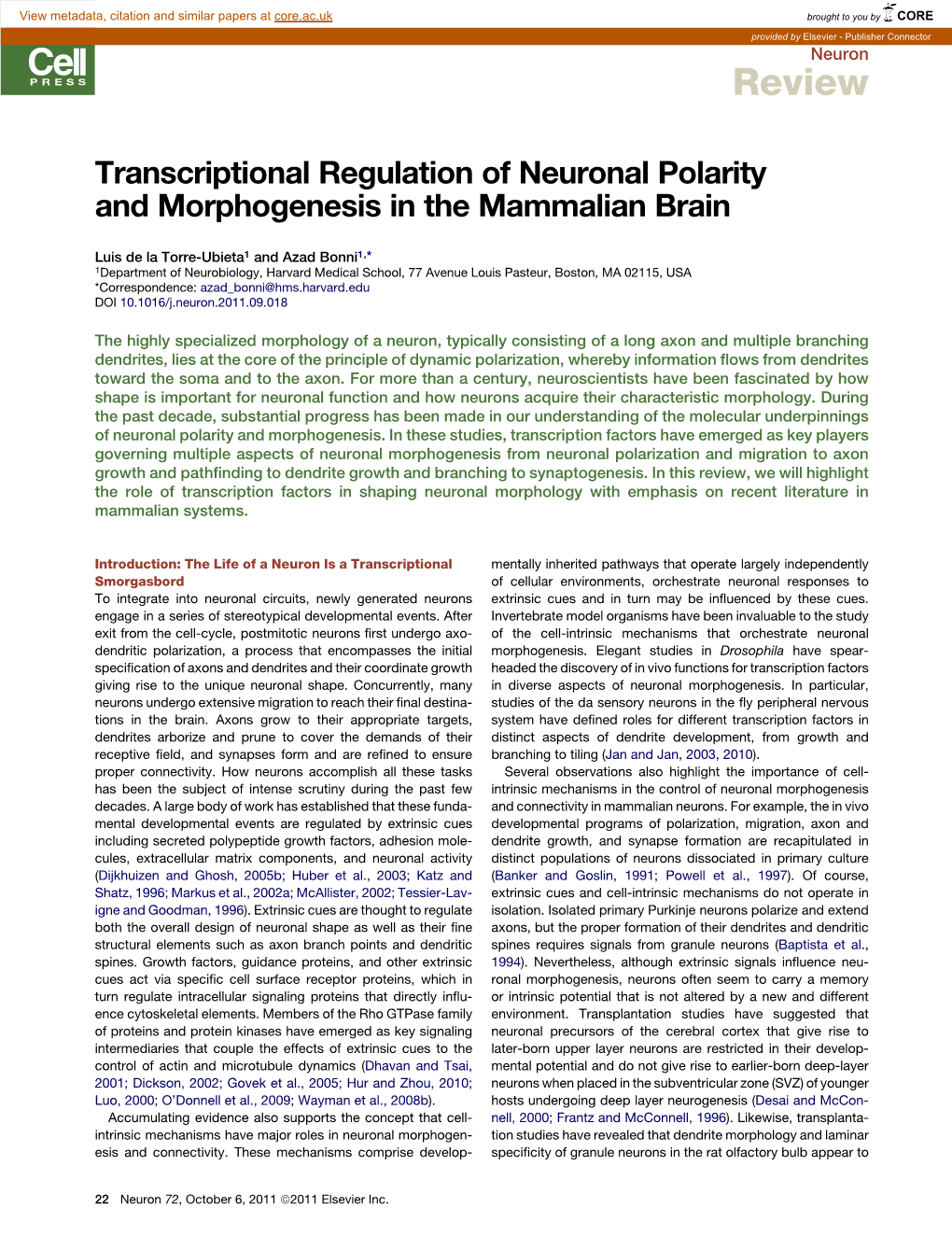 Transcriptional Regulation of Neuronal Polarity and Morphogenesis in the Mammalian Brain