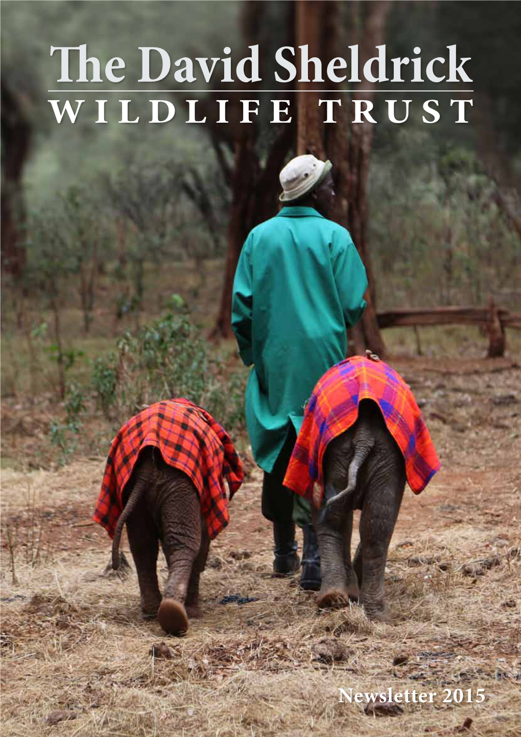 The David Sheldrick WILDLIFE TRUST