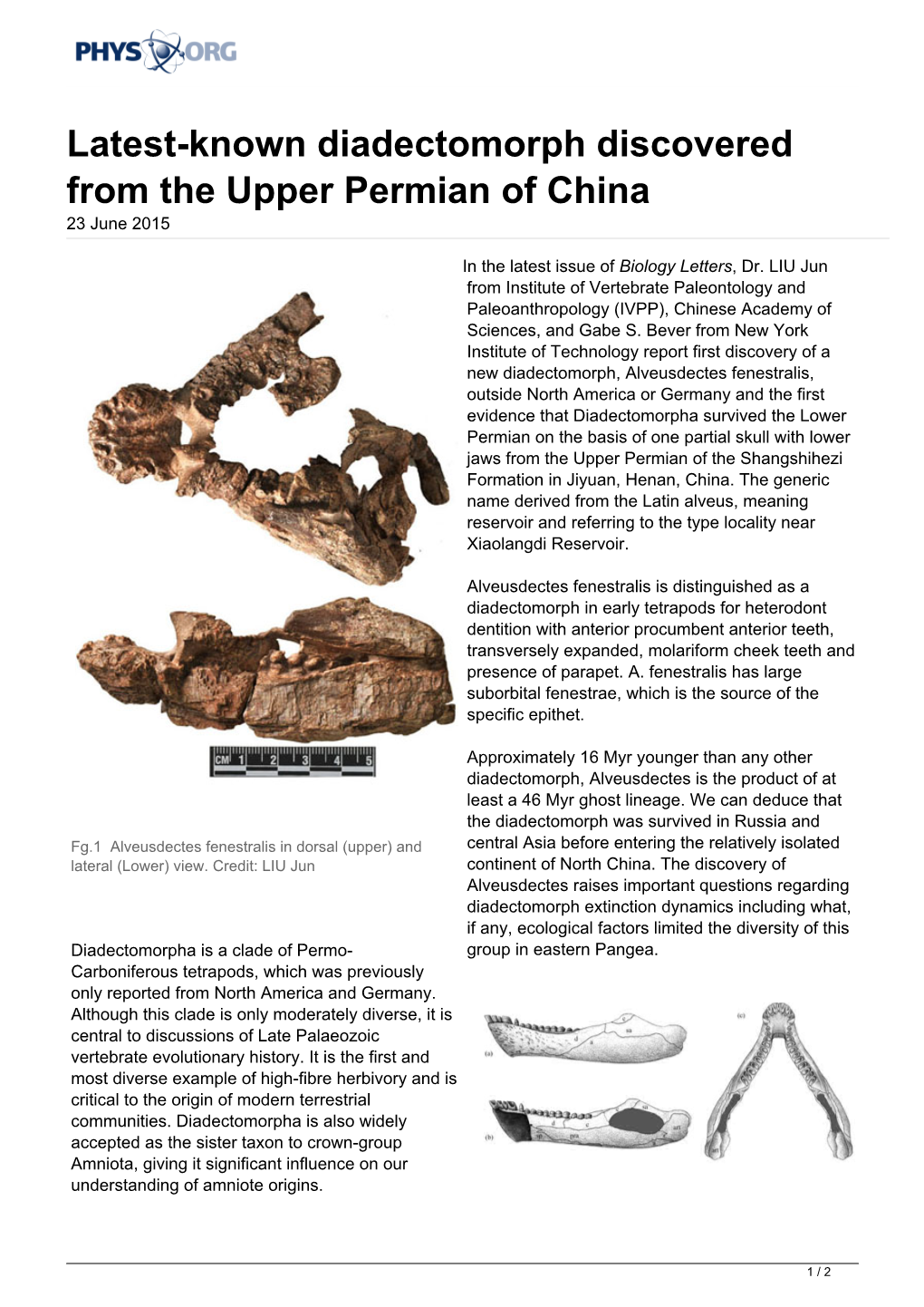 Latest-Known Diadectomorph Discovered from the Upper Permian of China 23 June 2015