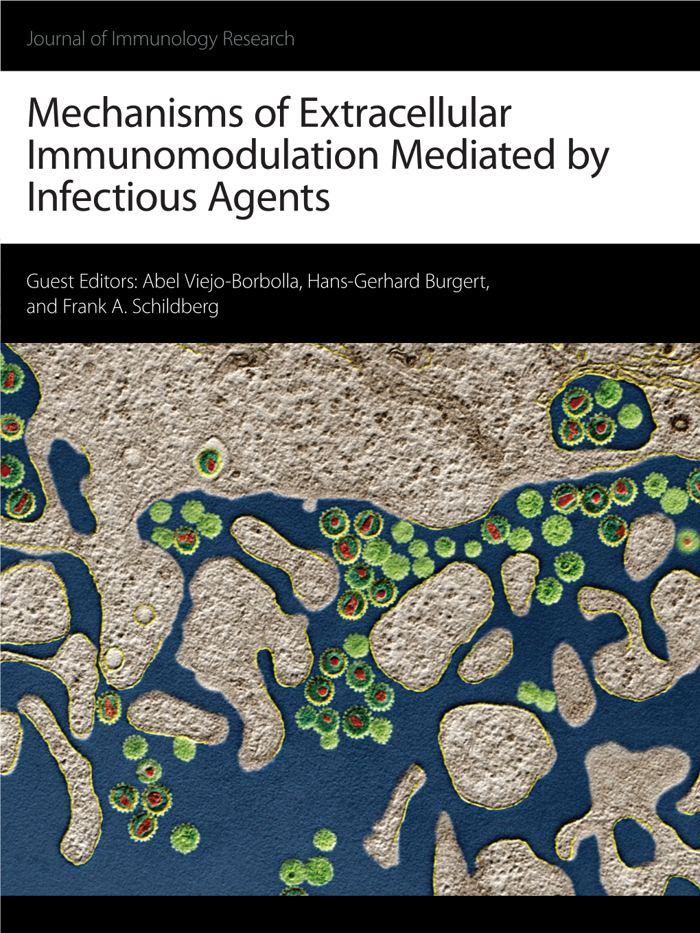 Mechanisms of Extracellular Immunomodulation Mediated by Infectious Agents