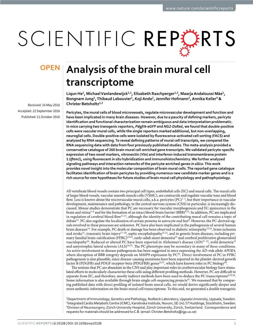 Analysis of the Brain Mural Cell Transcriptome