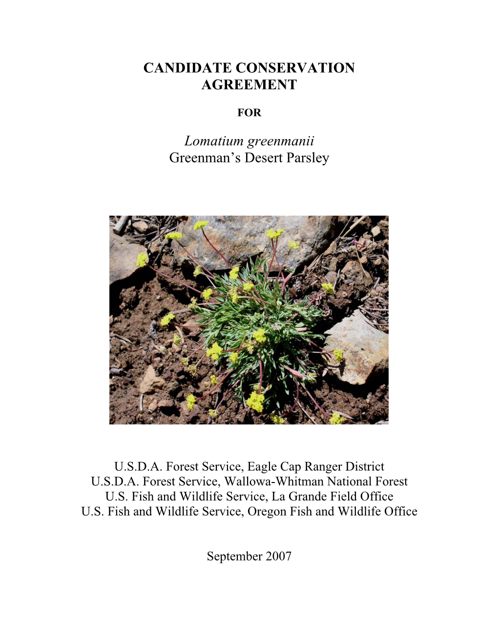 CANDIDATE CONSERVATION AGREEMENT Lomatium Greenmanii Greenman's Desert Parsley