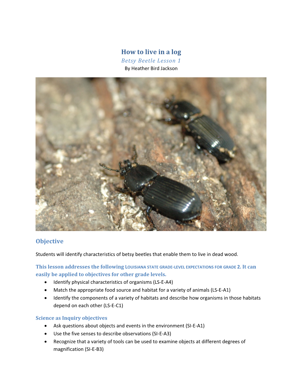 How to Live in a Log Betsy Beetle Lesson 1 by Heather Bird Jackson