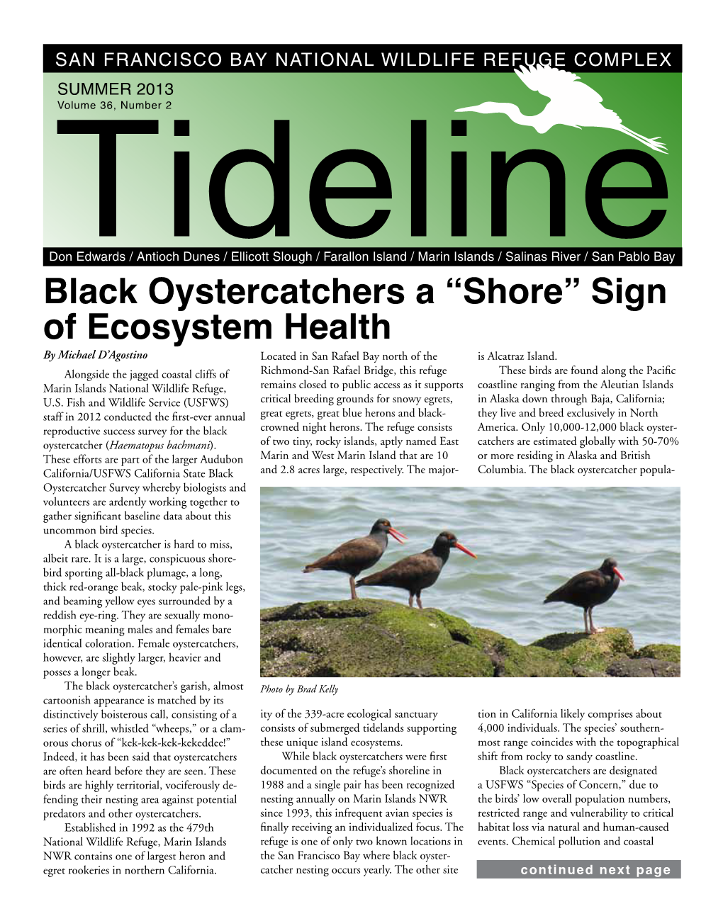 Black Oystercatchers a “Shore” Sign of Ecosystem Health by Michael D’Agostino Located in San Rafael Bay North of the Is Alcatraz Island