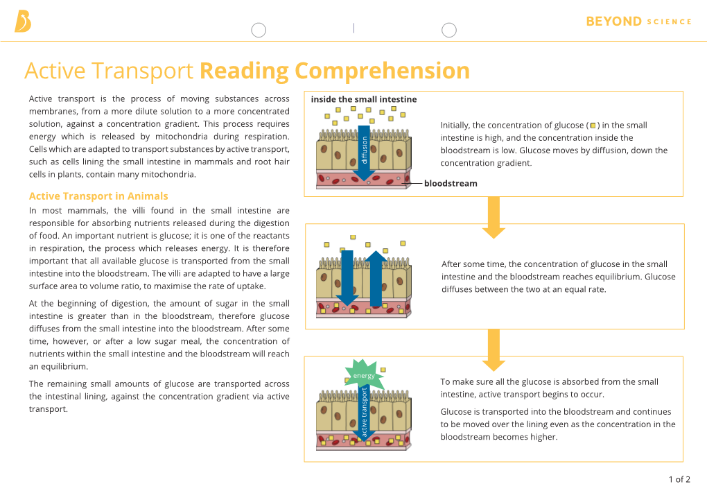 Active Transport Reading Comprehension