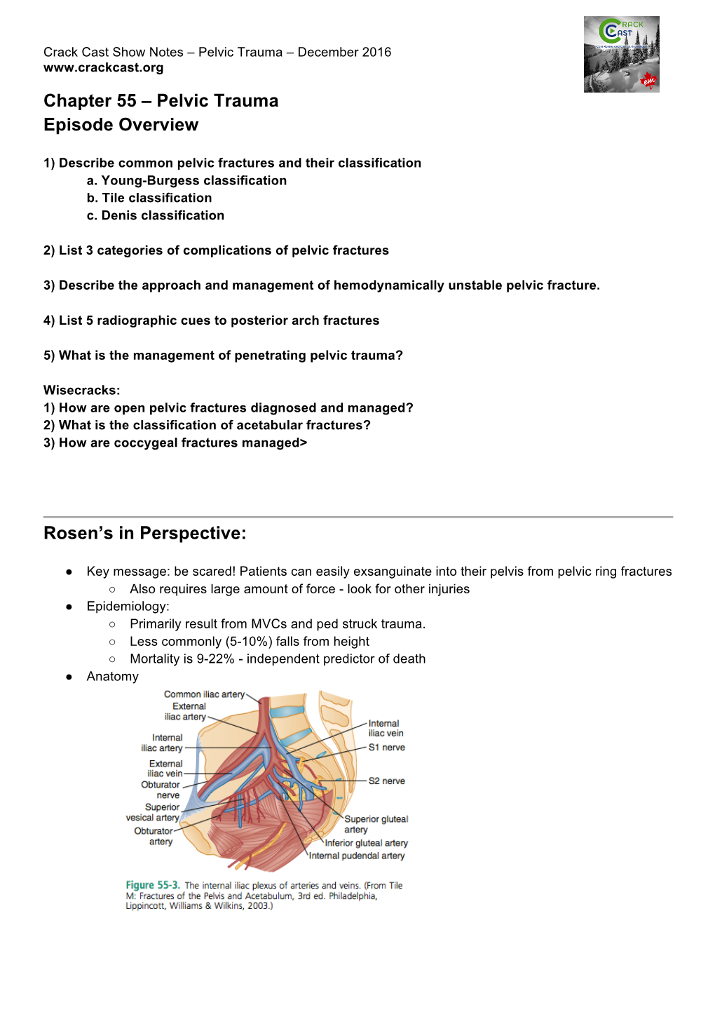 Pelvic Trauma Episode Overview Rosen's in Perspective