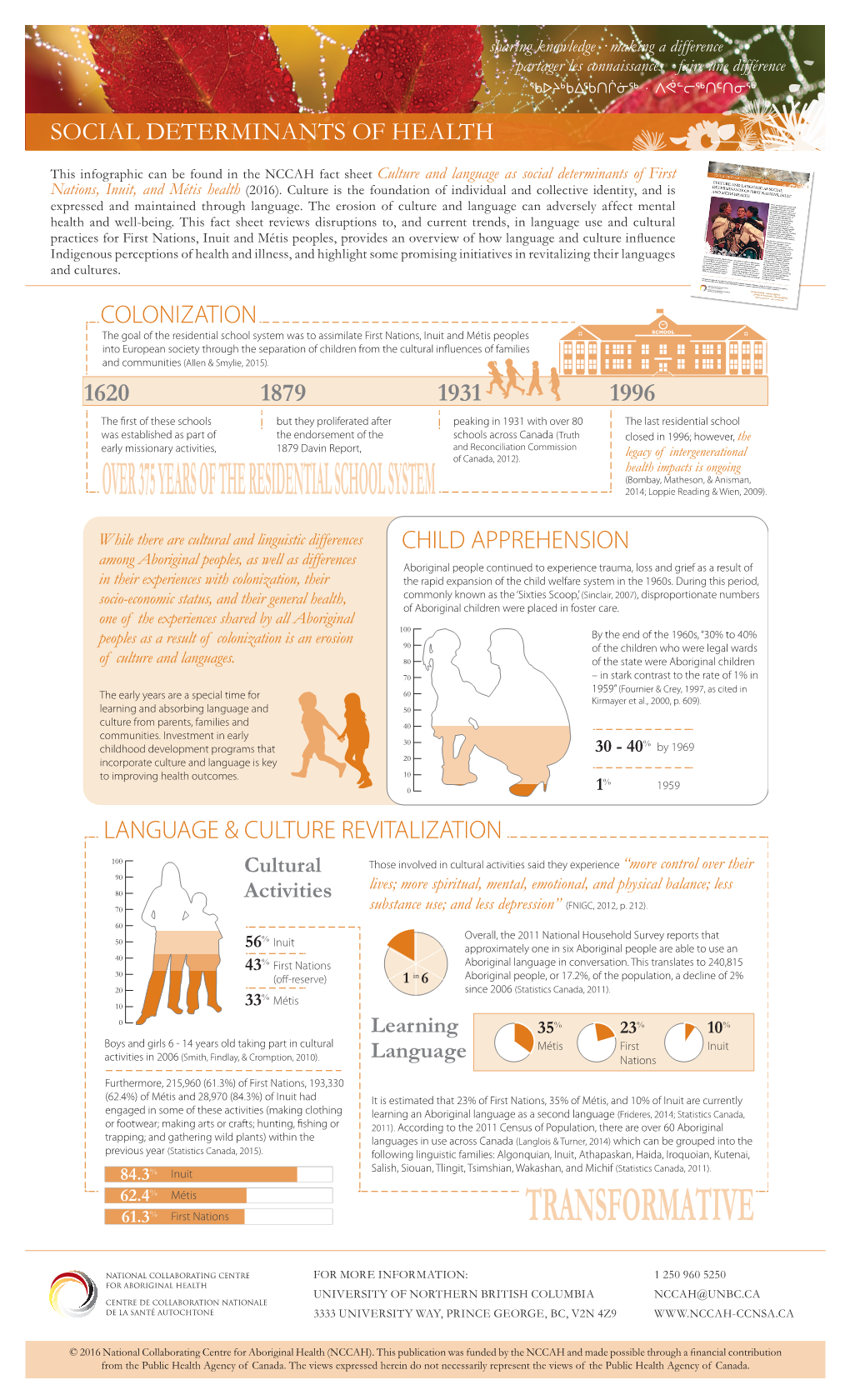 Culture and Language As Social Determinants of First Nations, Inuit, and Métis Health (2016)