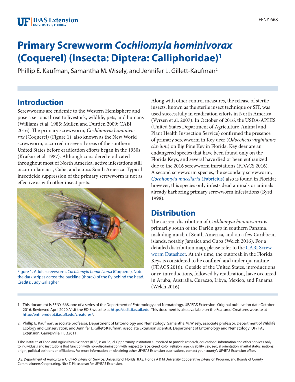 Primary Screwworm Cochliomyia Hominivorax (Coquerel) (Insecta: Diptera: Calliphoridae)1 Phillip E