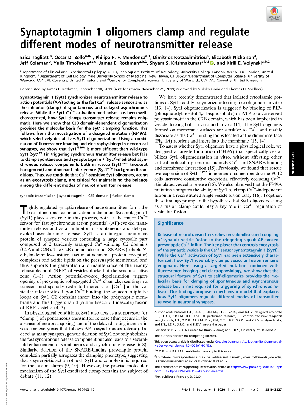 Synaptotagmin 1 Oligomers Clamp and Regulate Different Modes of Neurotransmitter Release