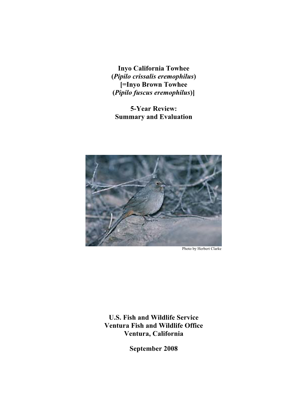 Inyo California Towhee (Pipilo Crissalis Eremophilus) [=Inyo Brown Towhee (Pipilo Fuscus Eremophilus)]