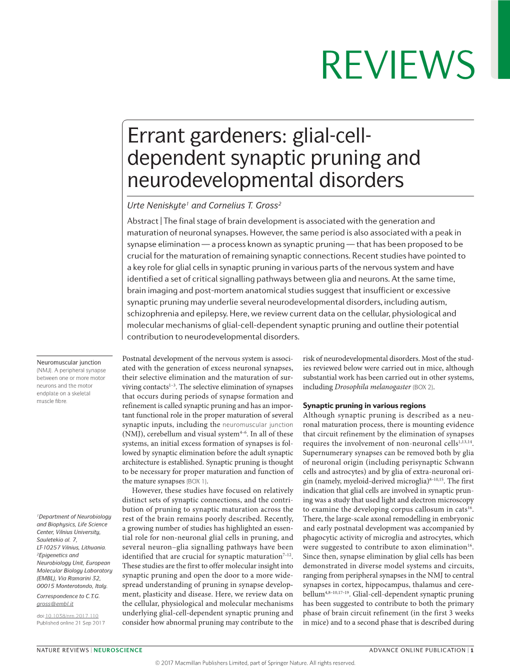 Glial-Cell-Dependent Synaptic Pruning and Neurodevelopmental Disorders