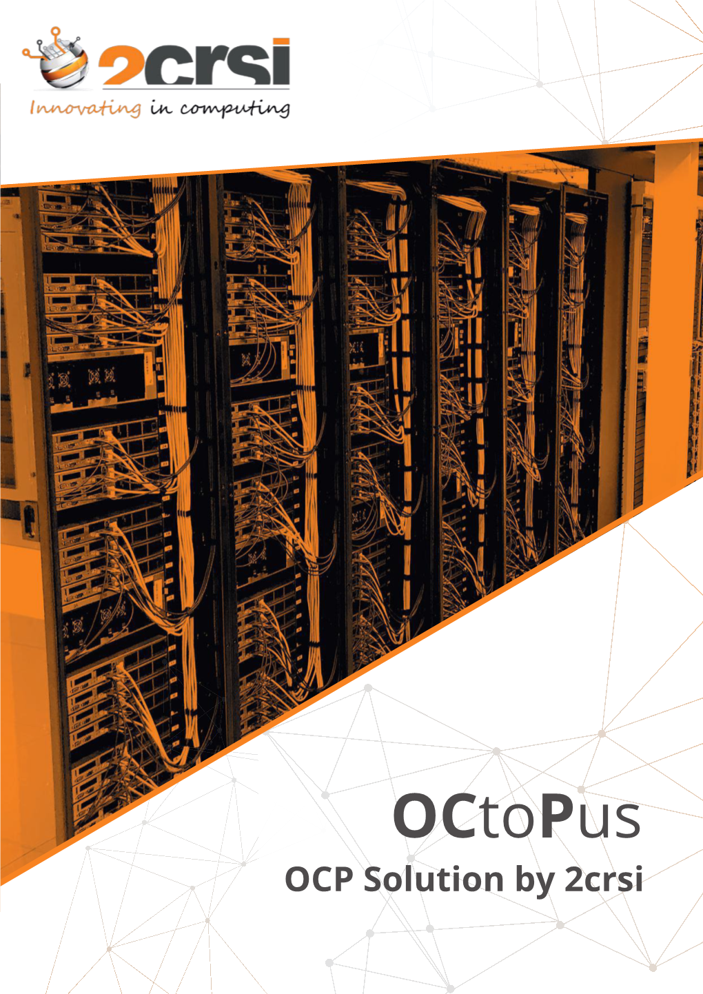 Octopus Solution About 2Crsi Technical Specifications Octopus Servers