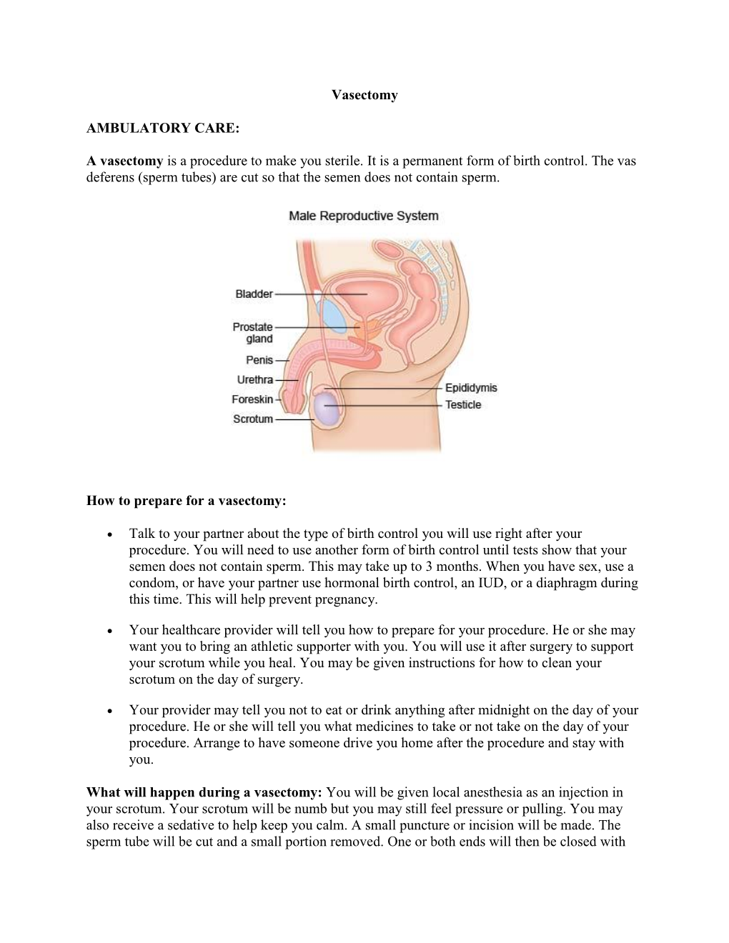 A Vasectomy Is a Procedure to Make You Sterile. It Is a Permanent Form of Birth Control. the Vas Defe