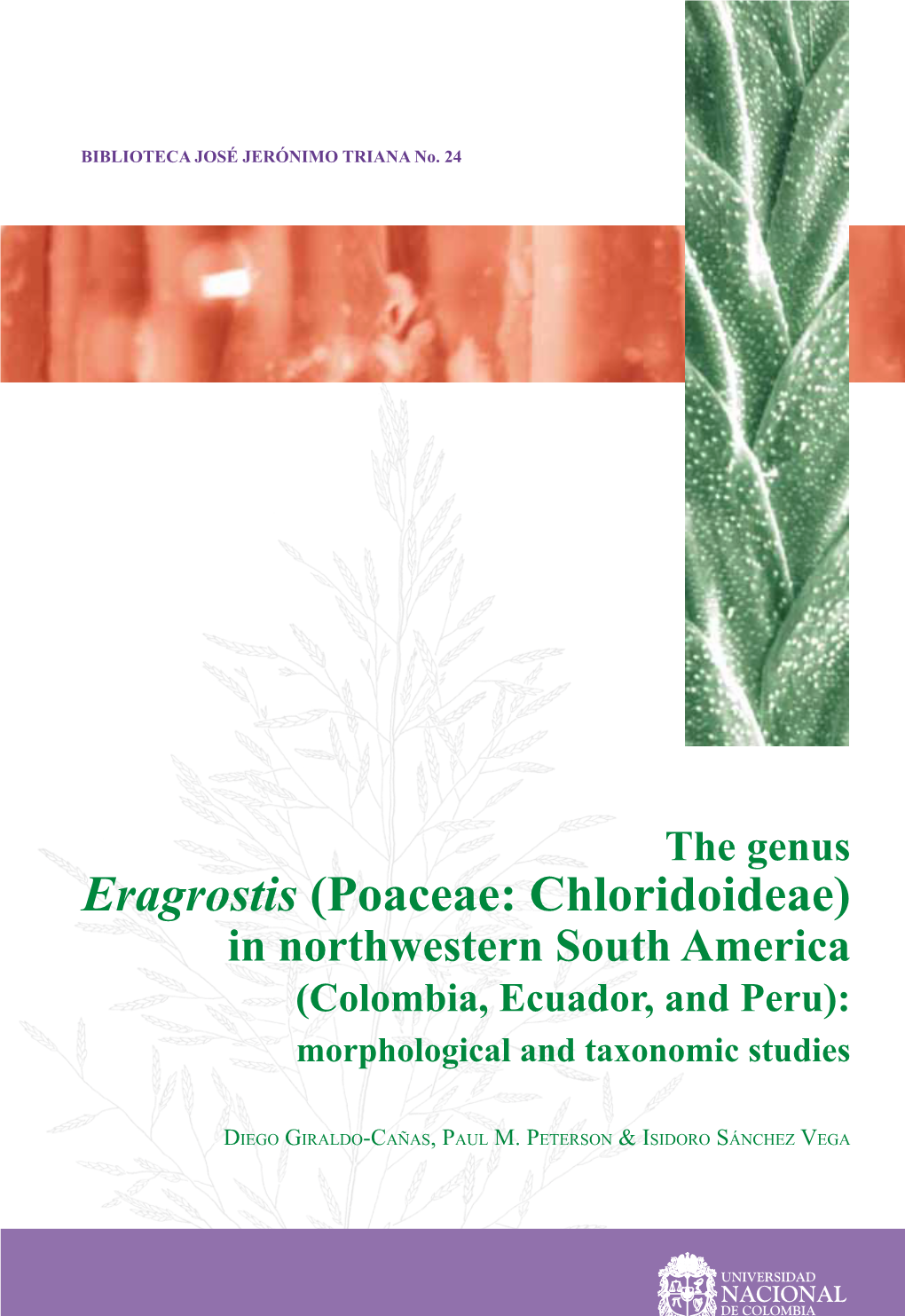 Eragrostis (Poaceae: Chloridoideae) in Northwestern South America (Colombia, Ecuador, and Peru): Morphological and Taxonomic Studies