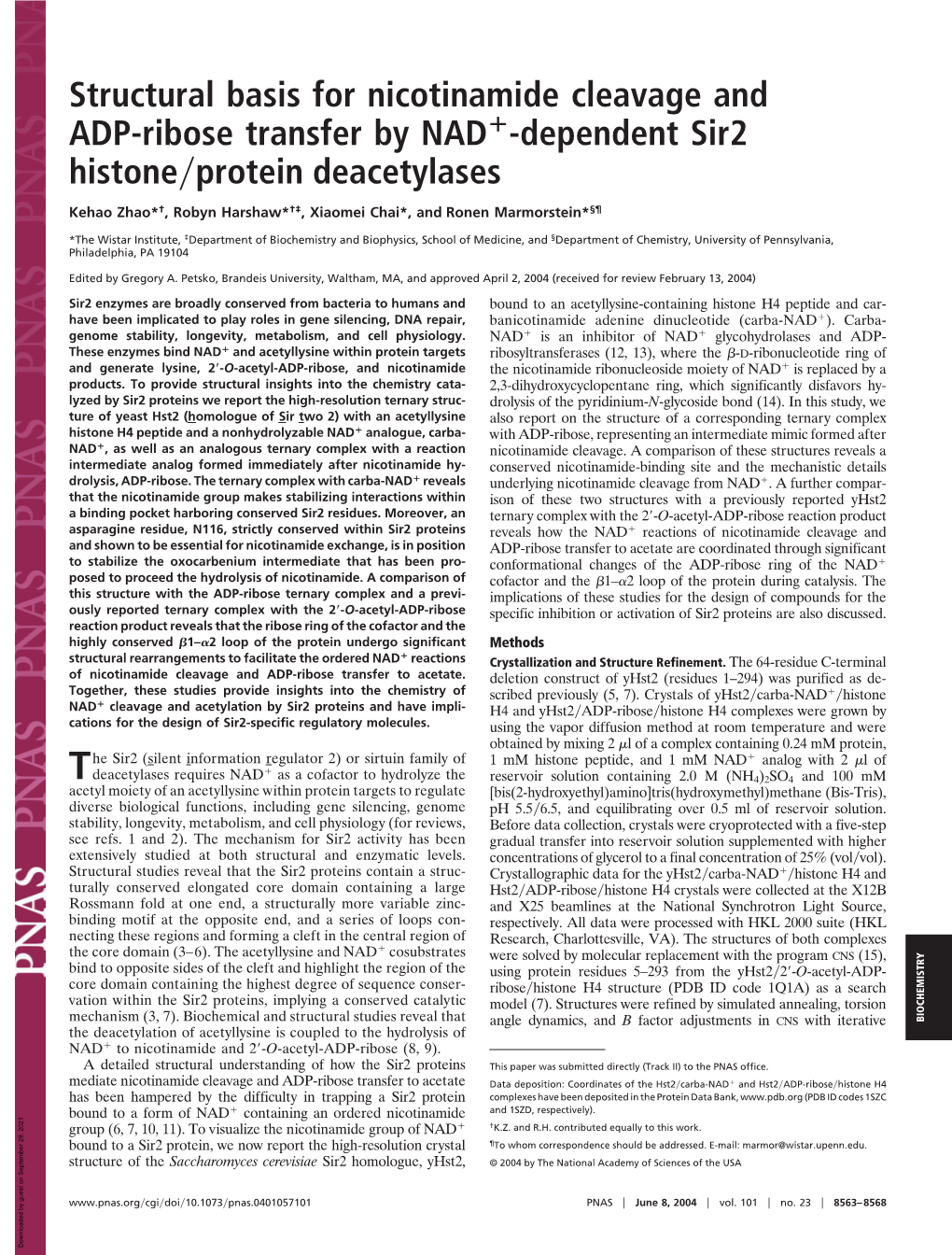 Structural Basis for Nicotinamide Cleavage and ADP-Ribose Transfer by NAD؉-Dependent Sir2 Histone͞protein Deacetylases