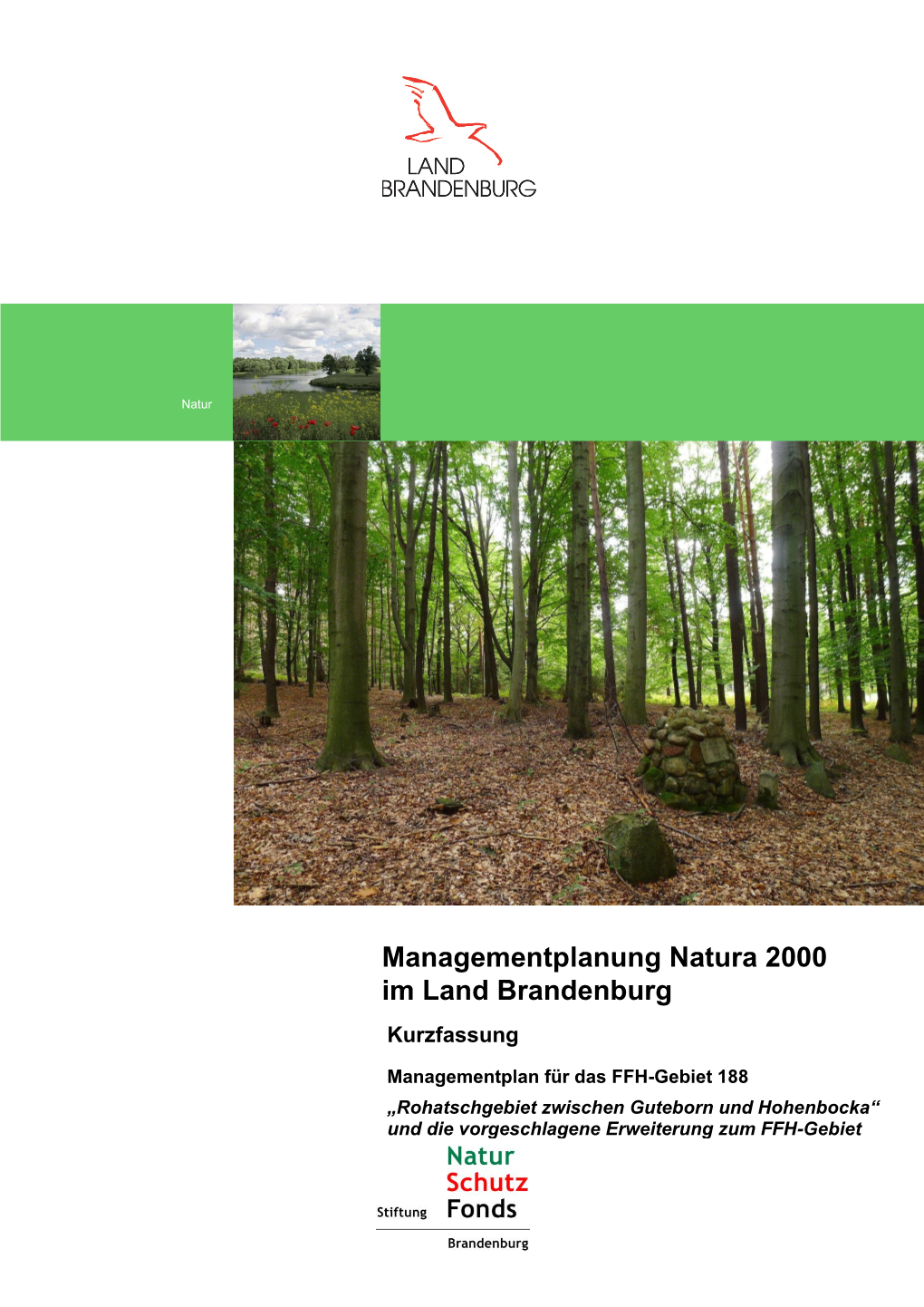 Formatvorlage Für Natura 200-Managementplan (Textteil)