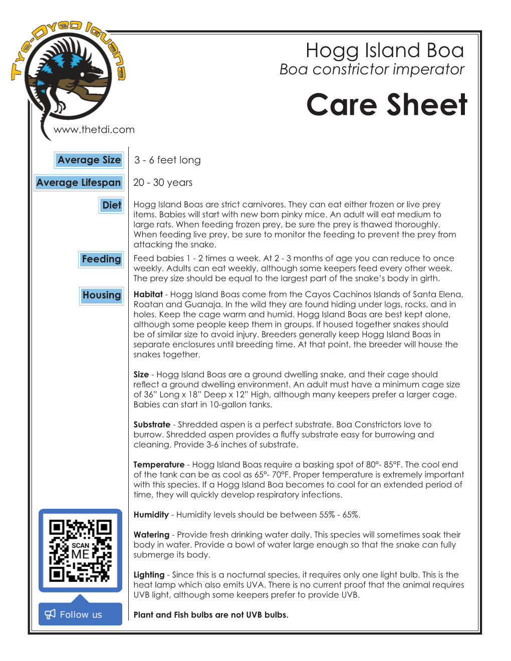 Boa Constrictor Imperator Care Sheet