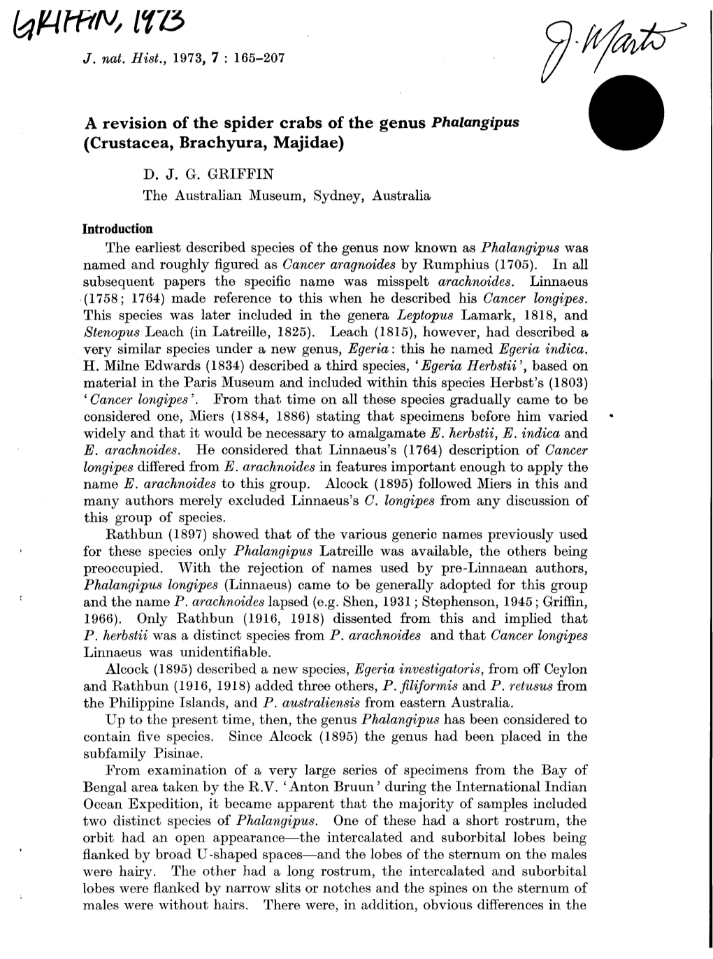 A Revision of the Spider Crabs of the Genus Phalangipus (Crustacea, Brachyura, Majidae)