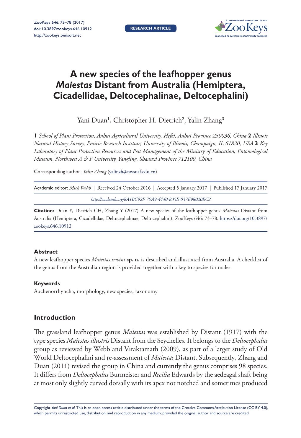 A New Species of the Leafhopper Genus Maiestas Distant from Australia (Hemiptera, Cicadellidae, Deltocephalinae, Deltocephalini)