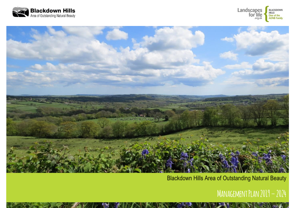 Management Plan 2019 – 2024 Vision for the Blackdown Hills Area of Outstanding Natural Beauty