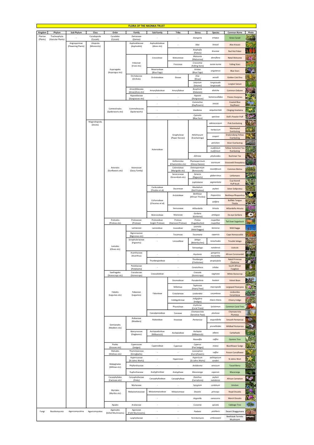 Nkonka Flora Classification