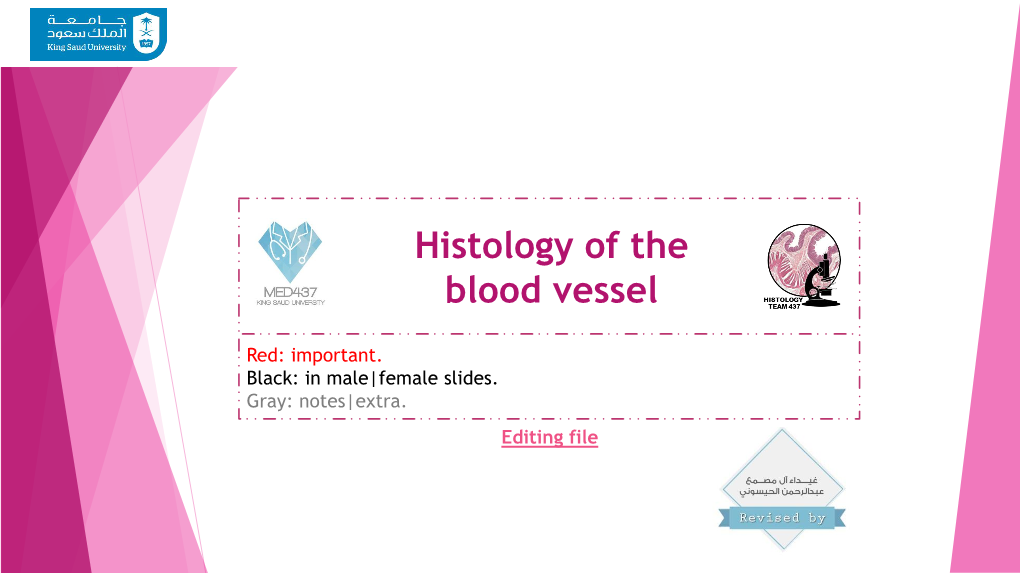 Histology of the Blood Vessel