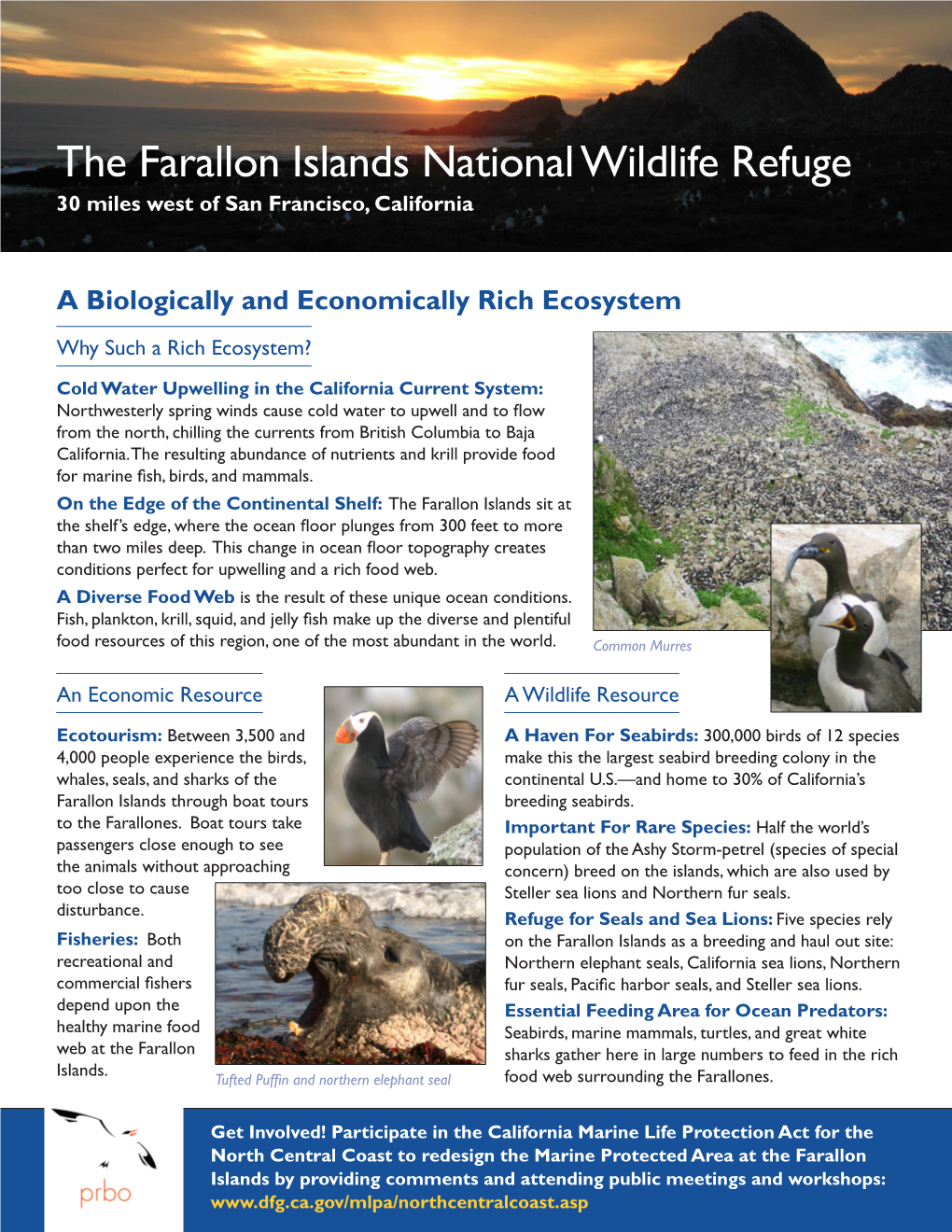 The Farallon Islands National Wildlife Refuge 30 Miles West of San Francisco, California