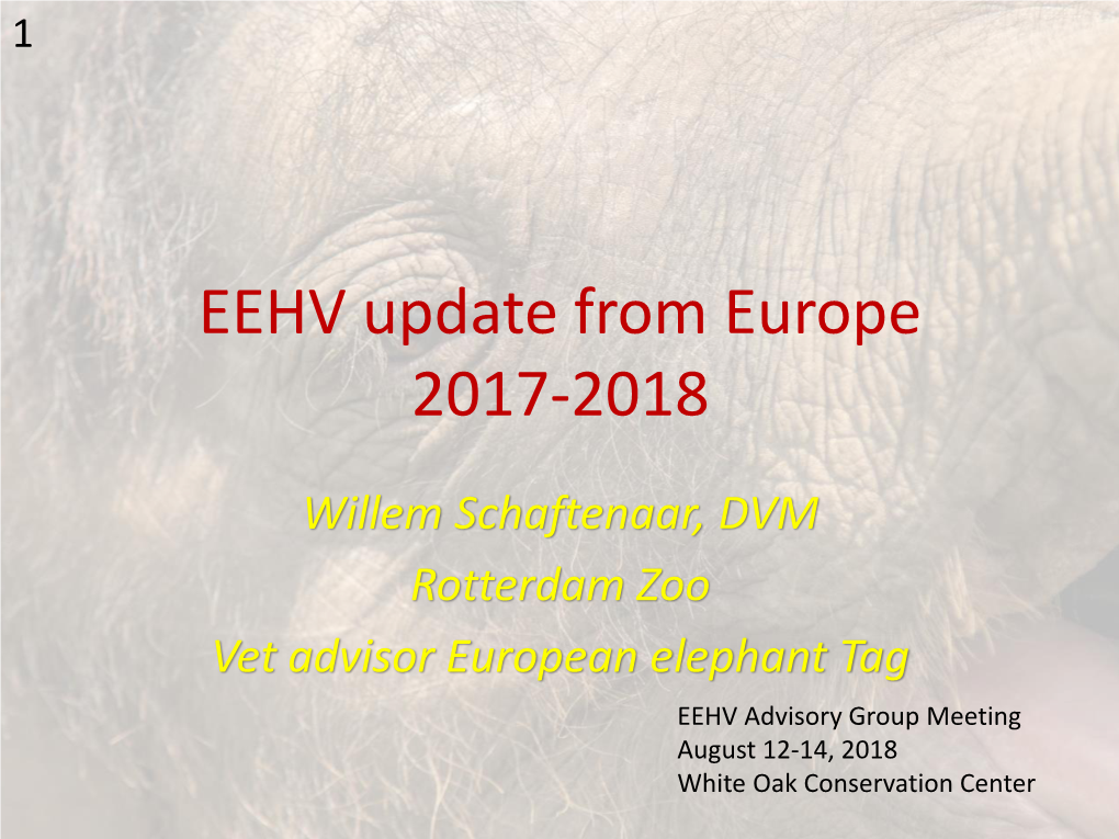 2018 EEHV Update from Europe Willem