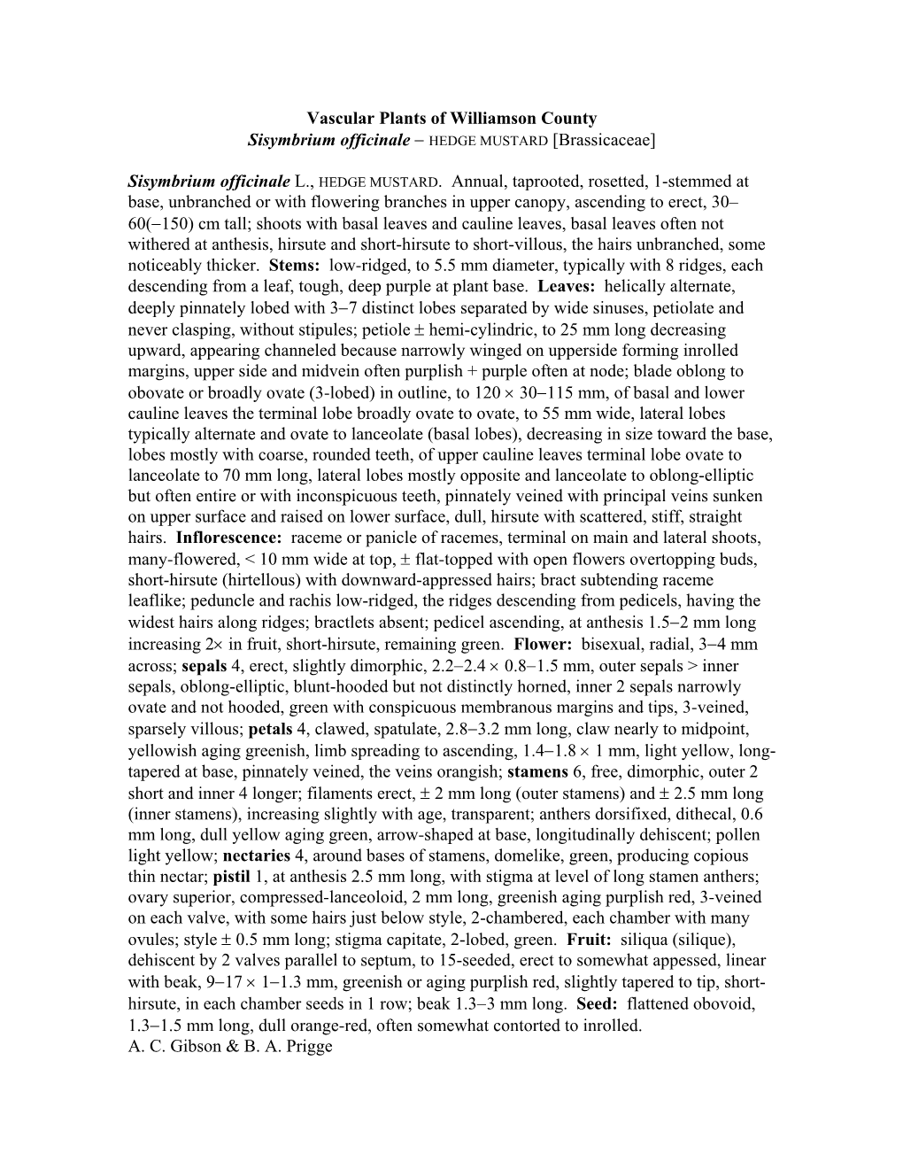 Vascular Plants of Williamson County Sisymbrium Officinale − HEDGE MUSTARD [Brassicaceae]