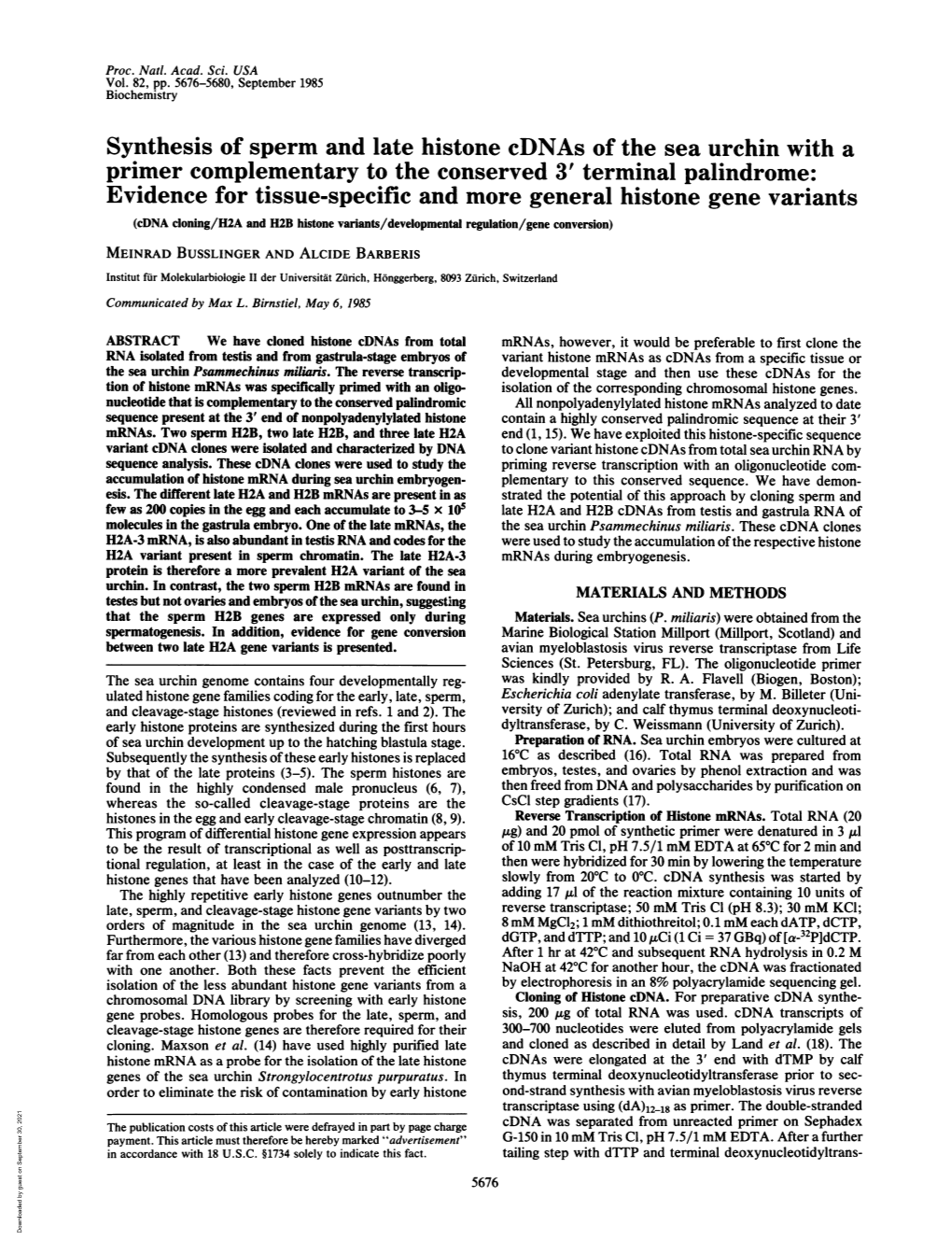 Synthesis of Sperm and Late Histone Cdnas of the Sea Urchin