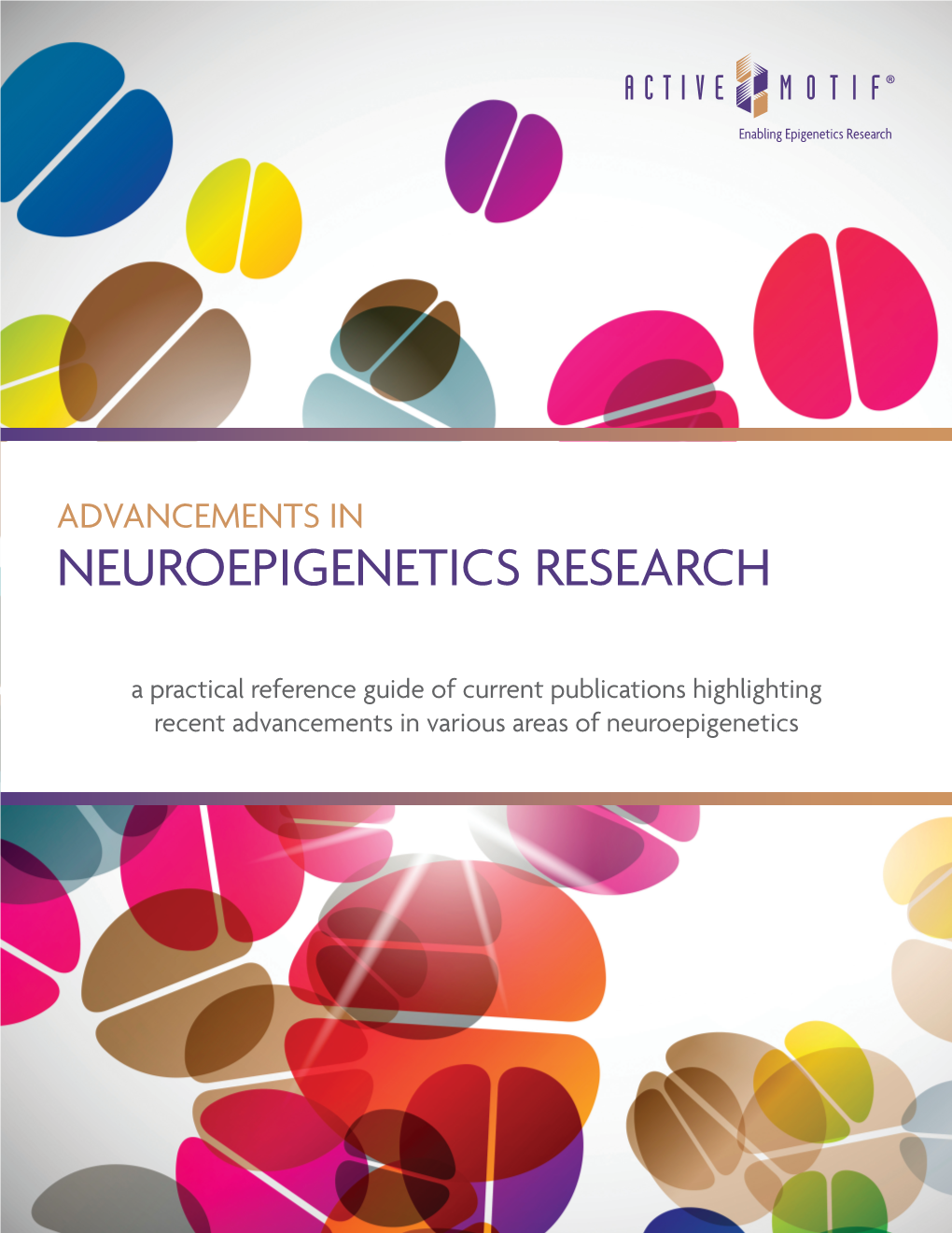 Neuroepigenetics Research