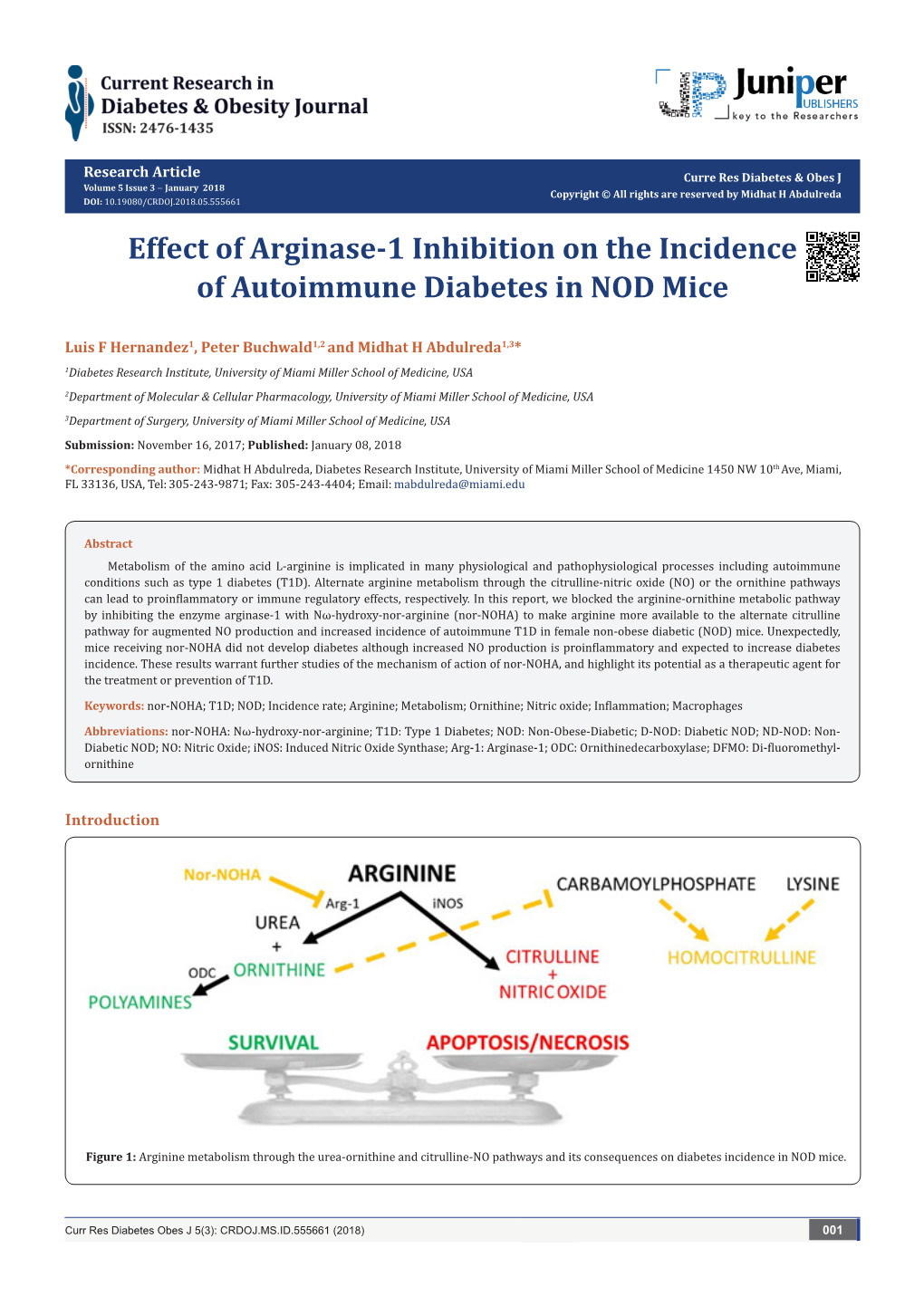 Effect of Arginase-1 Inhibition on the Incidence of Autoimmune Diabetes in NOD Mice