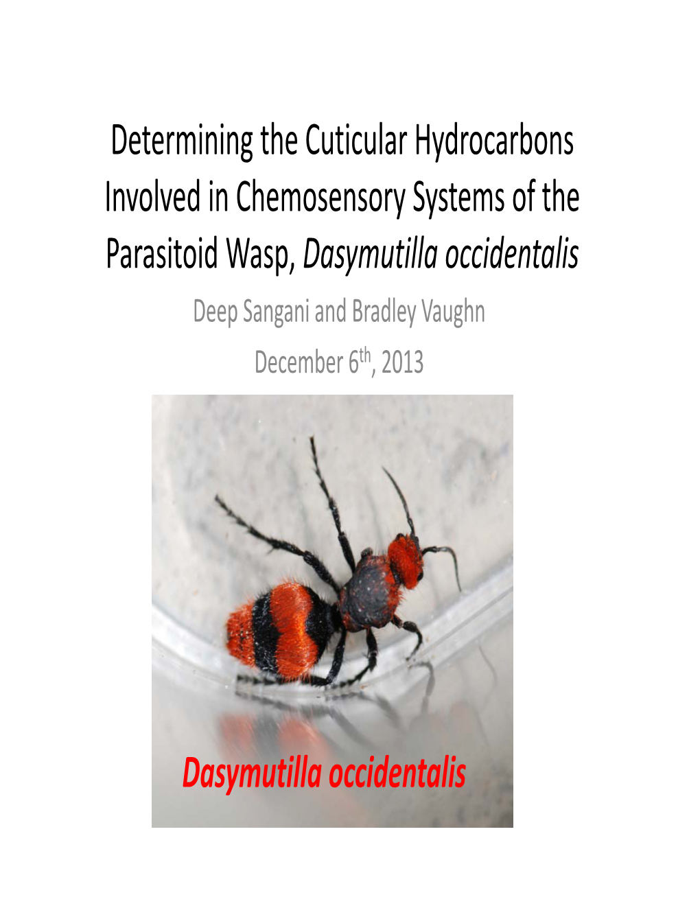 Determining the Cuticular Hydrocarbons Involved in Chemosensory Systems of the Parasitoid Wasp, Dasymutilla Occidentalis Dasymut