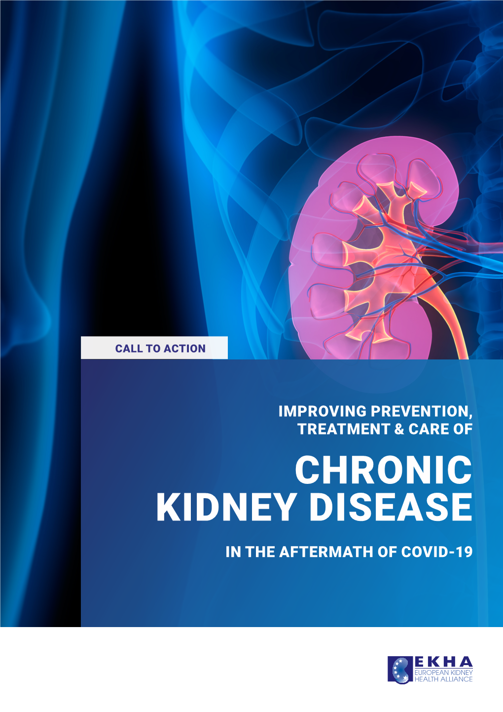CHRONIC KIDNEY DISEASE in the AFTERMATH of COVID-19 Introduction