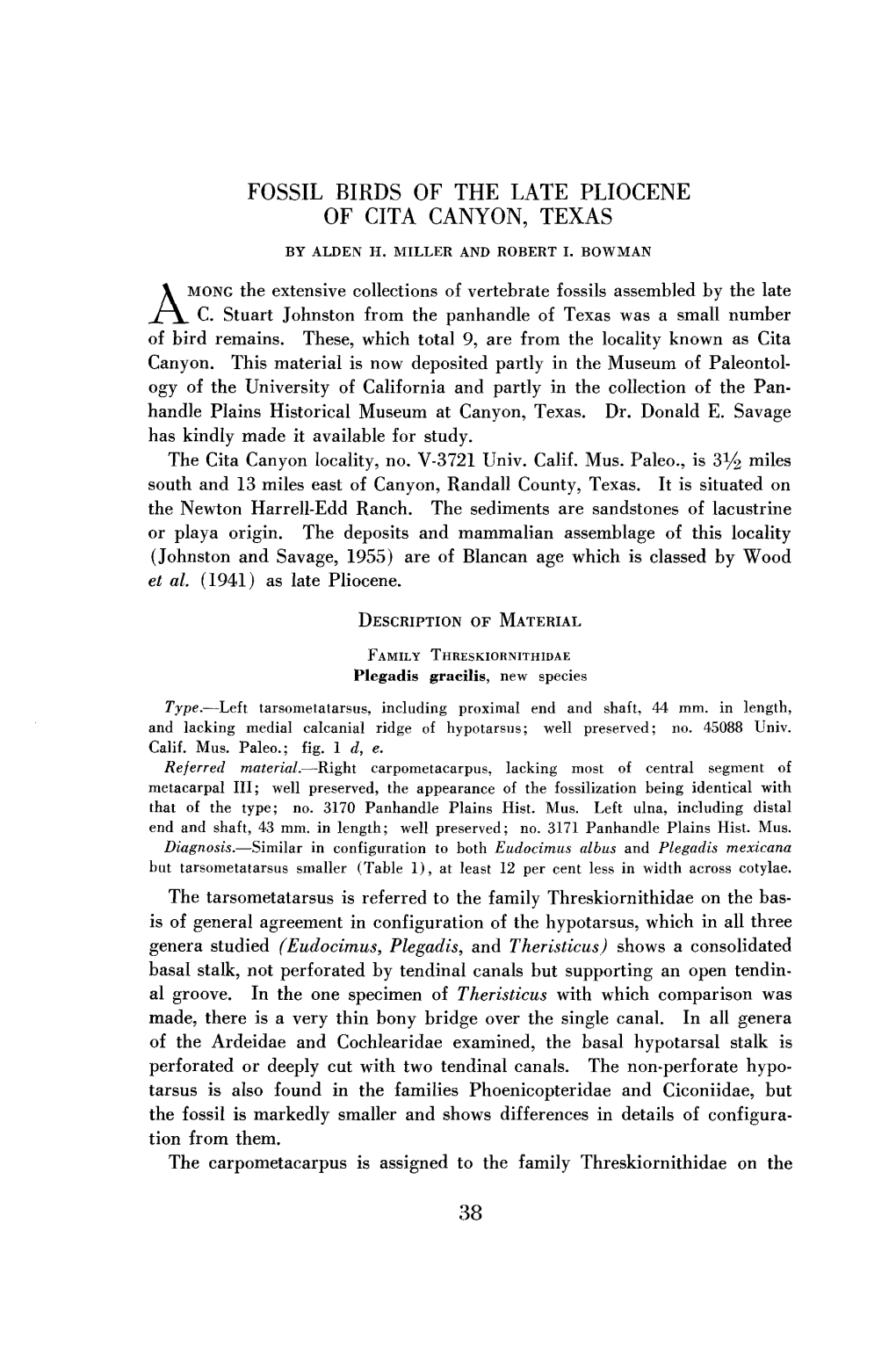 Fossil Birds of the Late Pliocene of Cita Canyon, Texas