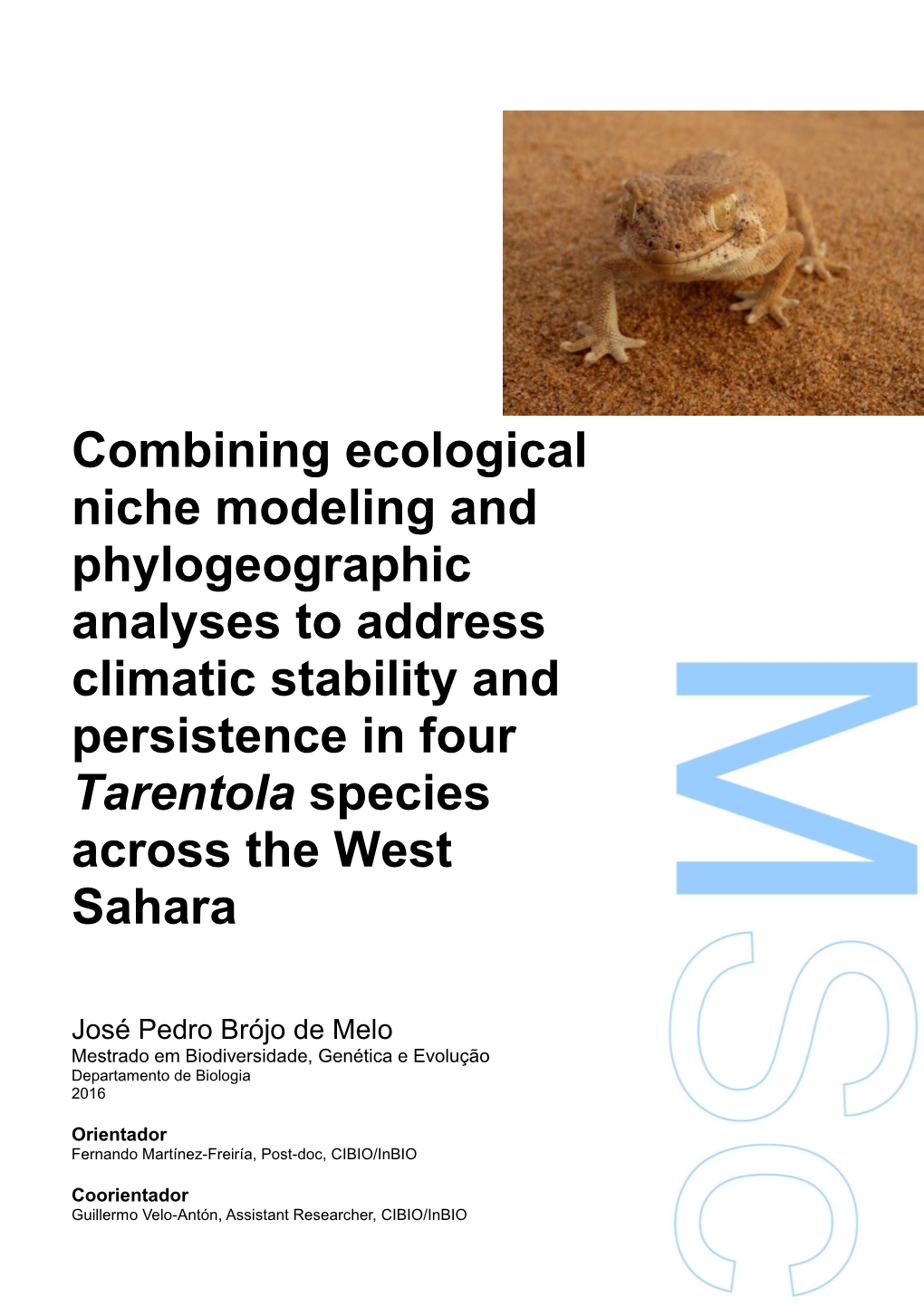 Combining Ecological Niche Modeling and Phylogeographic Analyses to Address Climatic Stability and Persistence in Four Tarentola Species Across the West Sahara