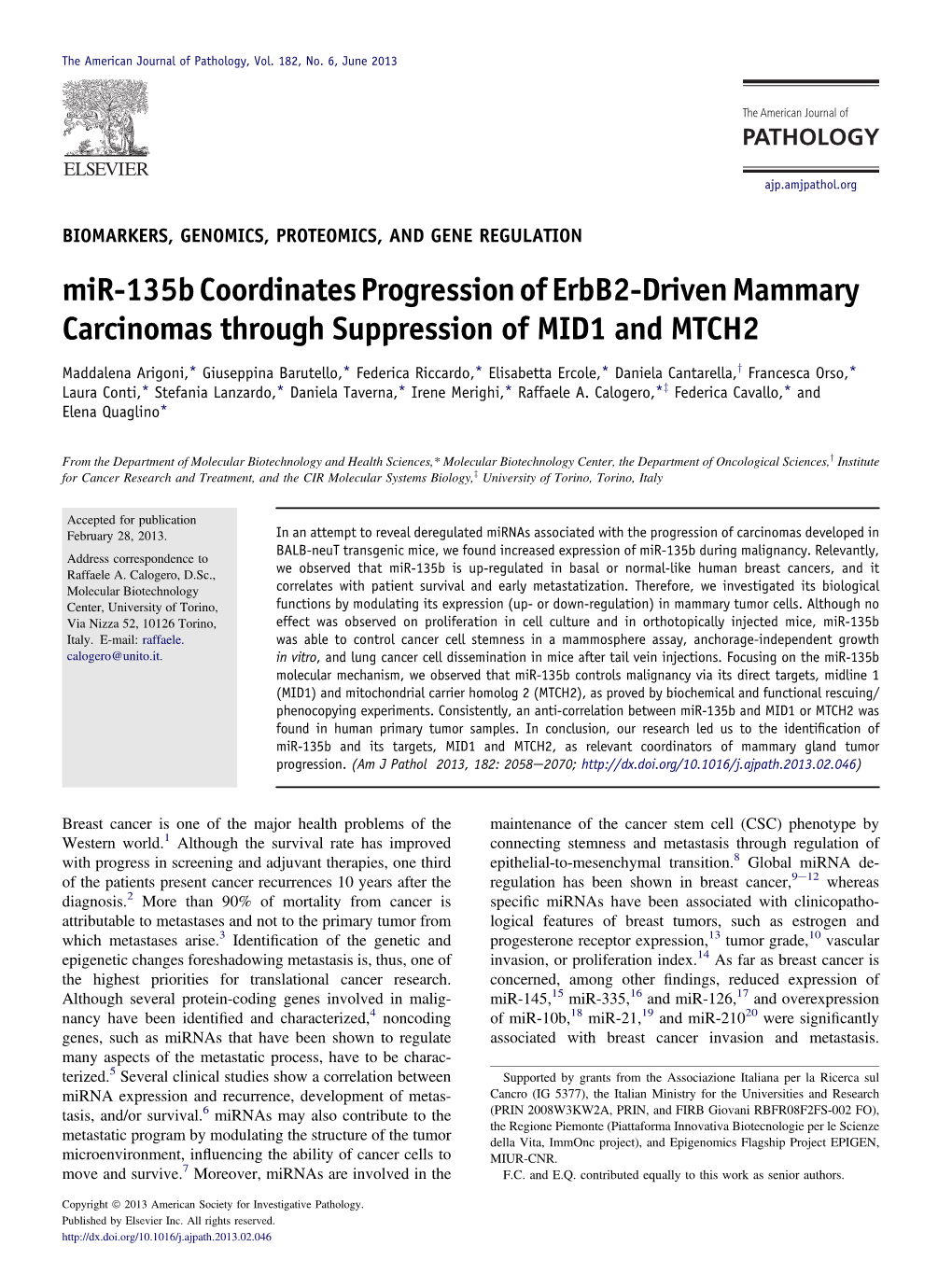 Mir-135B Coordinates Progression of Erbb2-Driven Mammary Carcinomas Through Suppression of MID1 and MTCH2