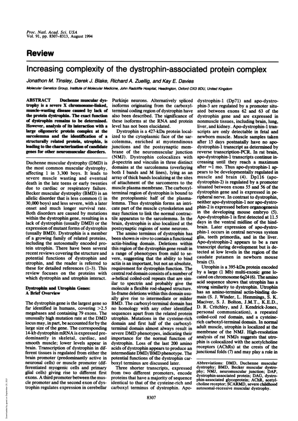 Review Increasing Complexity of the Dystrophin-Associated Protein Complex Jonathon M