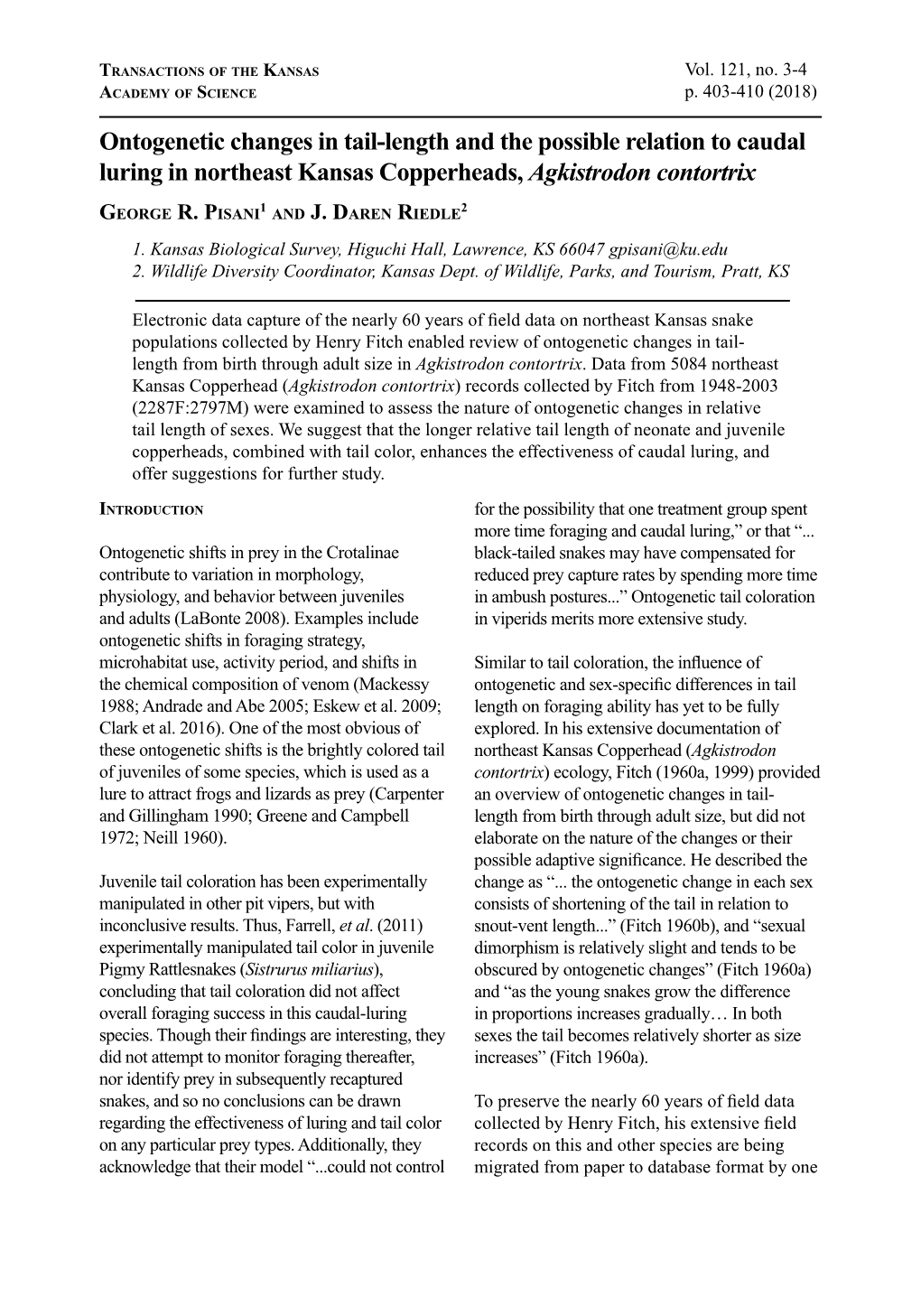 Ontogenetic Changes in Tail-Length and the Possible Relation to Caudal Luring in Northeast Kansas Copperheads, Agkistrodon Contortrix