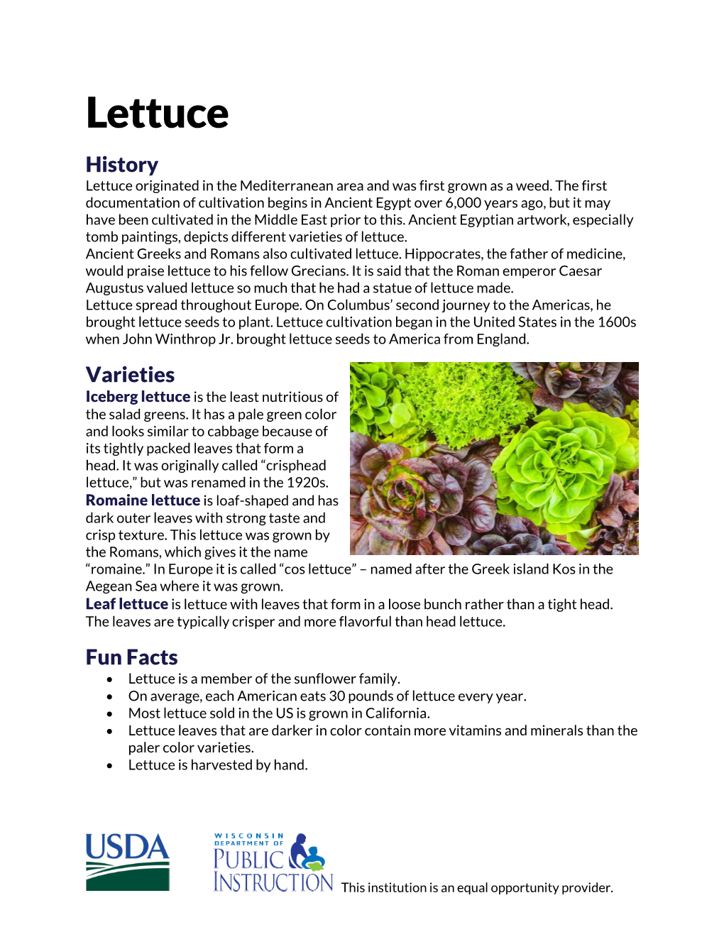 Lettuce History Lettuce Originated in the Mediterranean Area and Was First Grown As a Weed