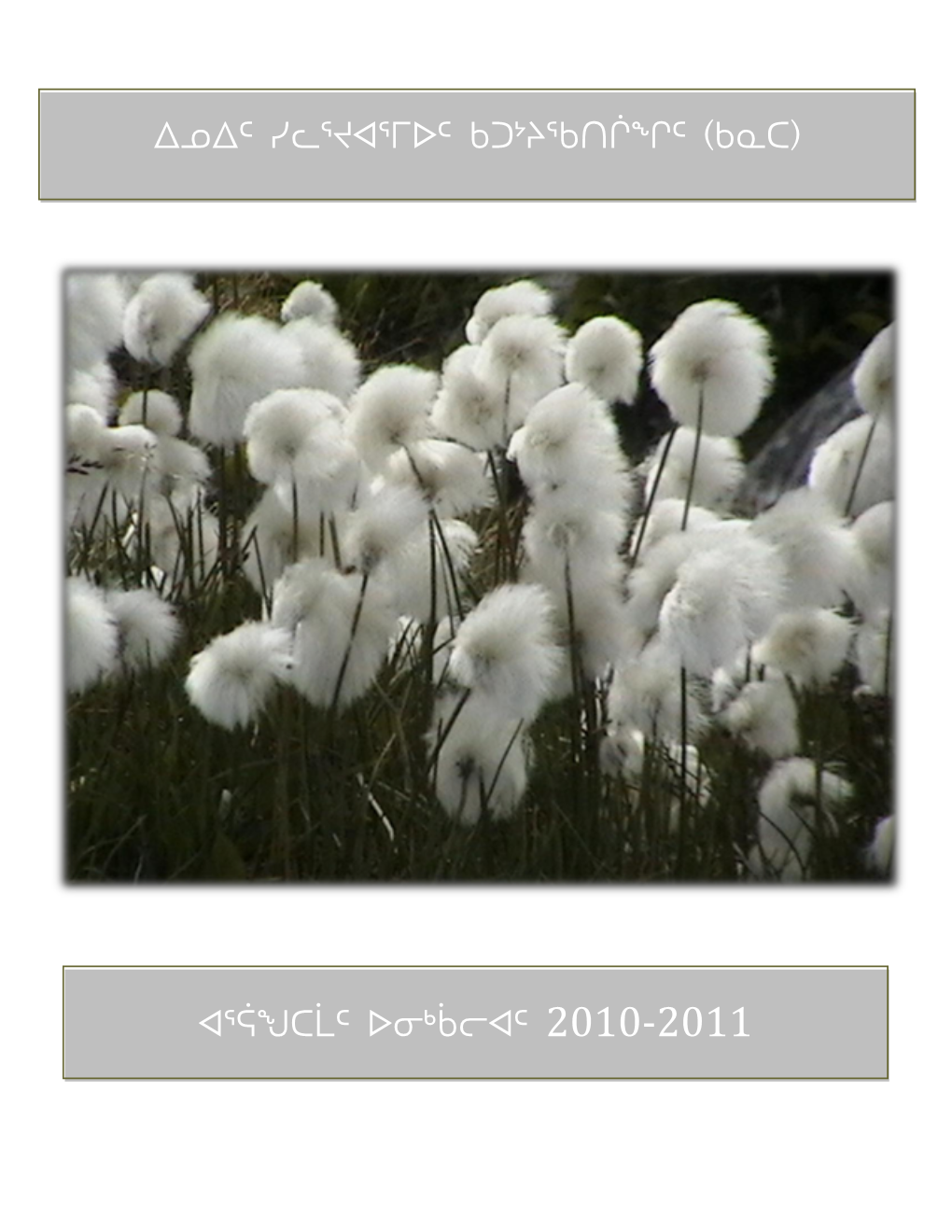 20102011Annualreportinuktitut.Pdf