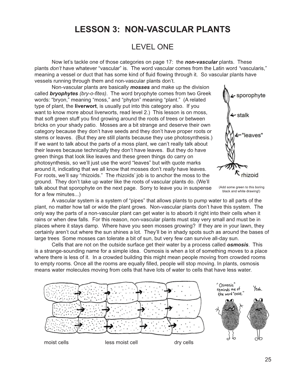 Lesson 3: Non-Vascular Plants