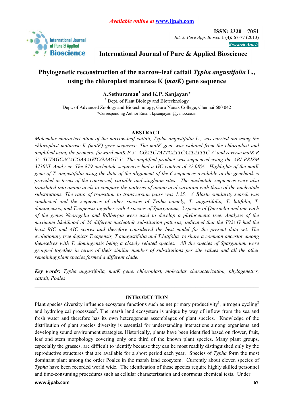 Phylogenetic Reconstruction of the Narrow-Leaf Cattail Typha Angustifolia L., Using the Chloroplast Maturase K ( Matk ) Gene Sequence