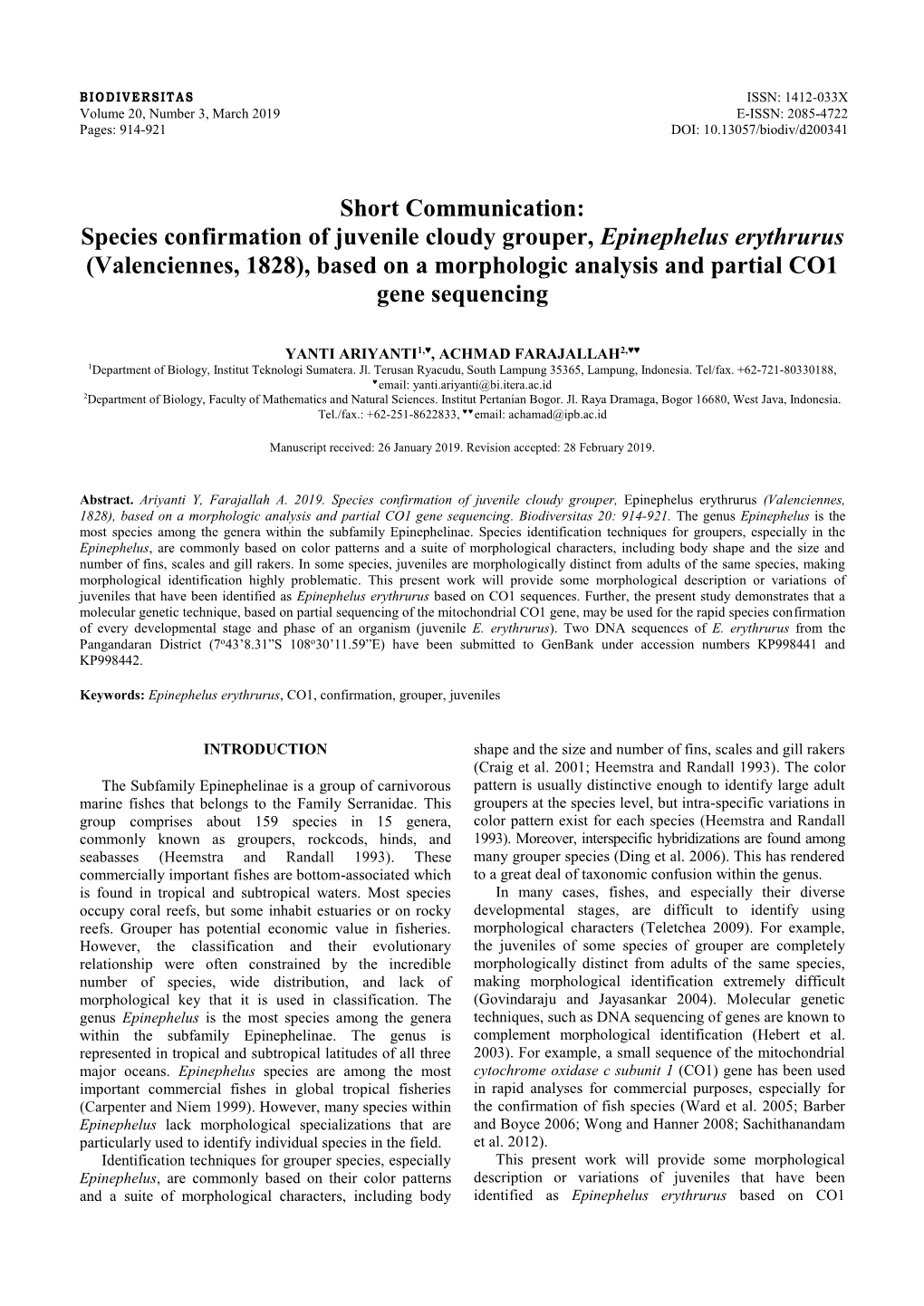 Species Confirmation of Juvenile Cloudy Grouper, Epinephelus Erythrurus (Valenciennes, 1828), Based on a Morphologic Analysis and Partial CO1 Gene Sequencing
