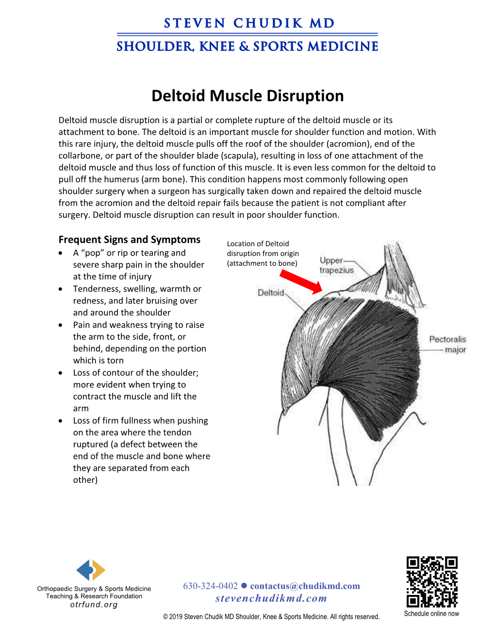 Deltoid Muscle Disruption